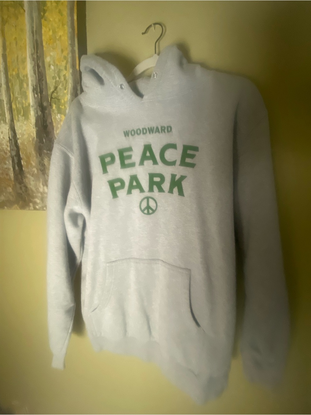 Woodward Light Gray Hoodie with Green Peace Park Graphic - Men